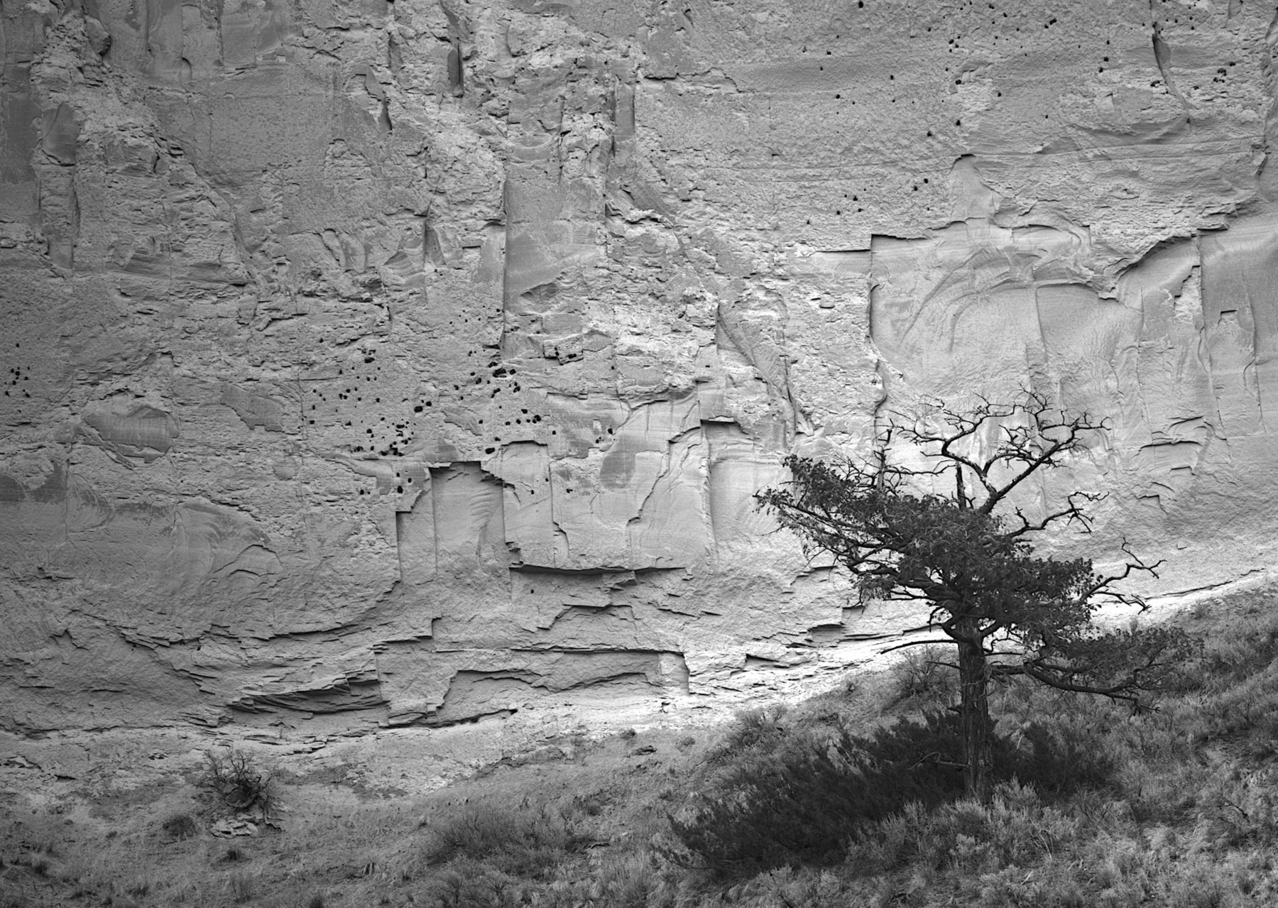 Landscape photograph 5