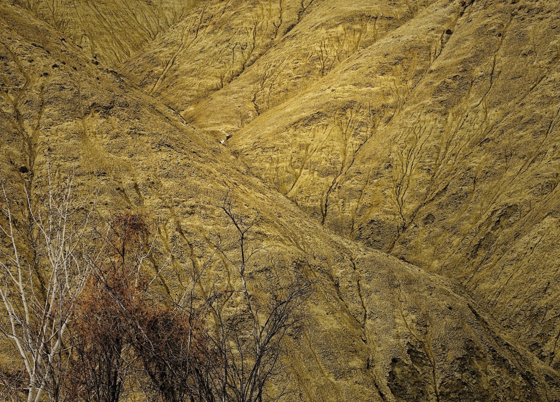 Landscape photograph 5