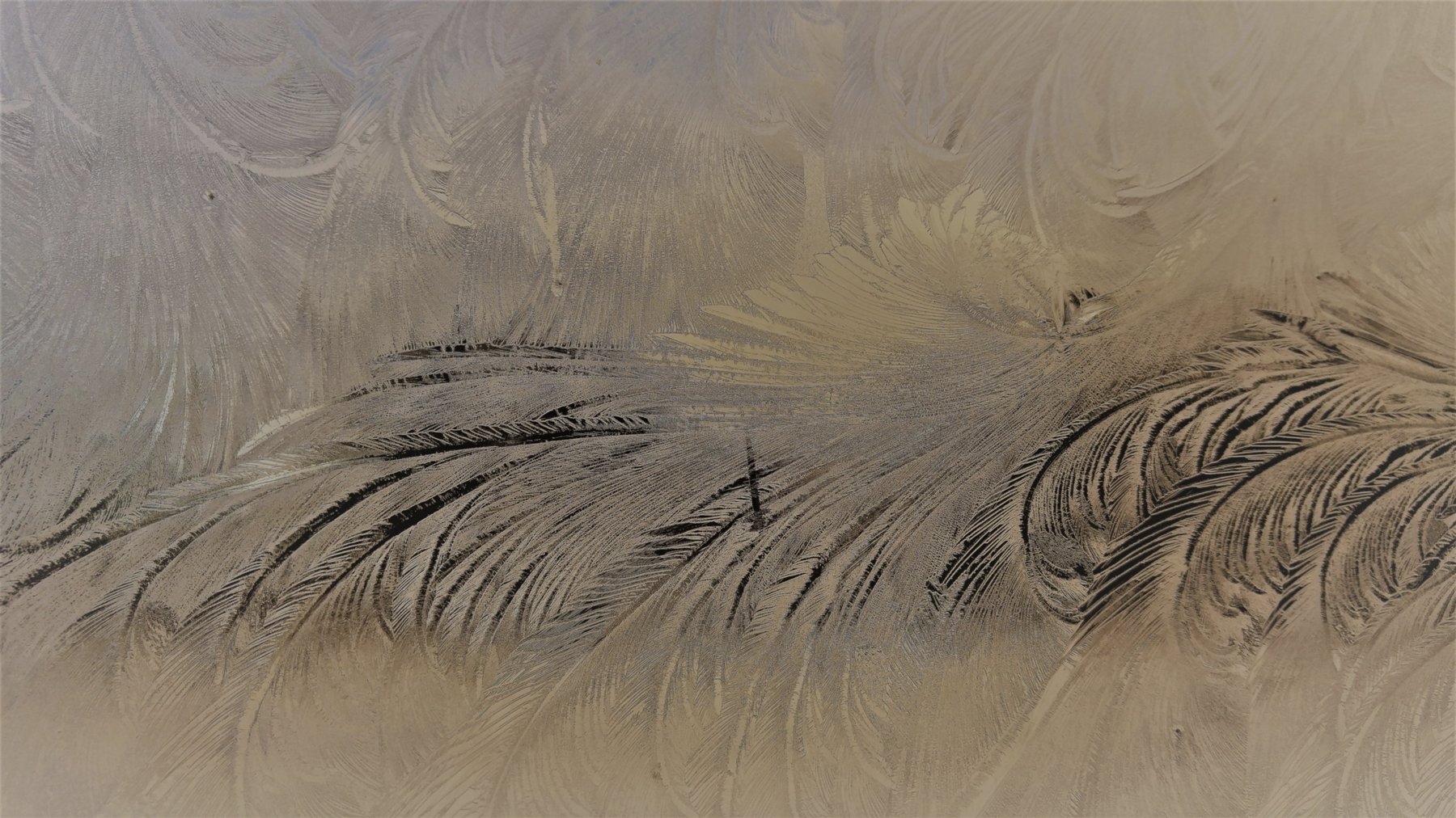 Landscape photograph 5